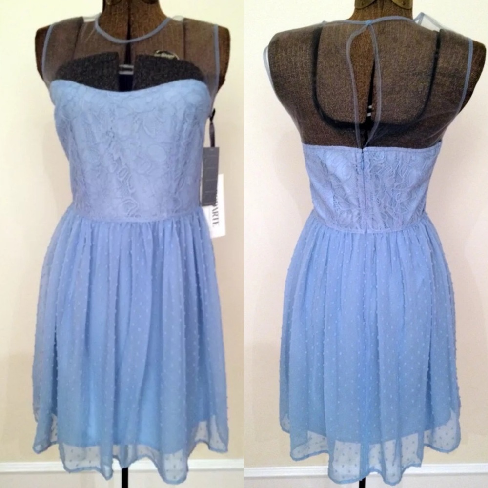 Rodarte for Target light blue dress sz 11 swiss dot lace floral party NWT skater